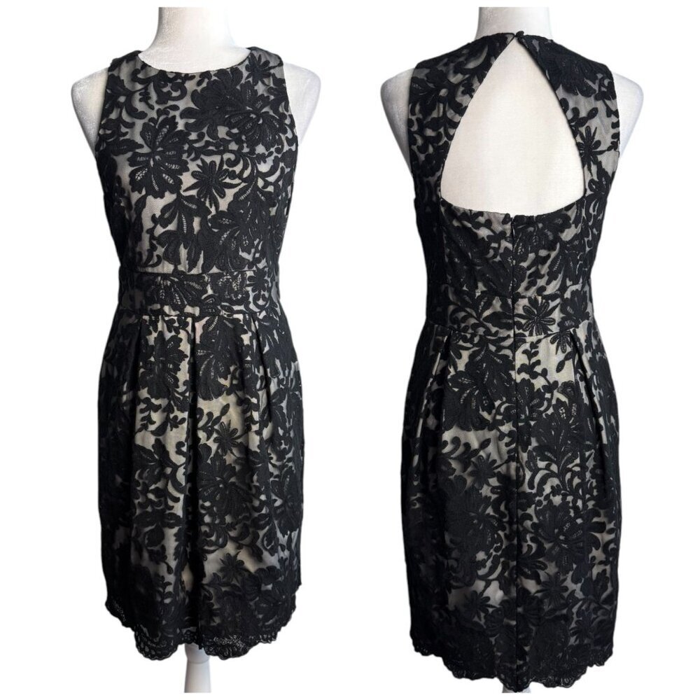 Eliza J Lace Sheath Dress Open Back Round Neck Black Cream Women's Size 6